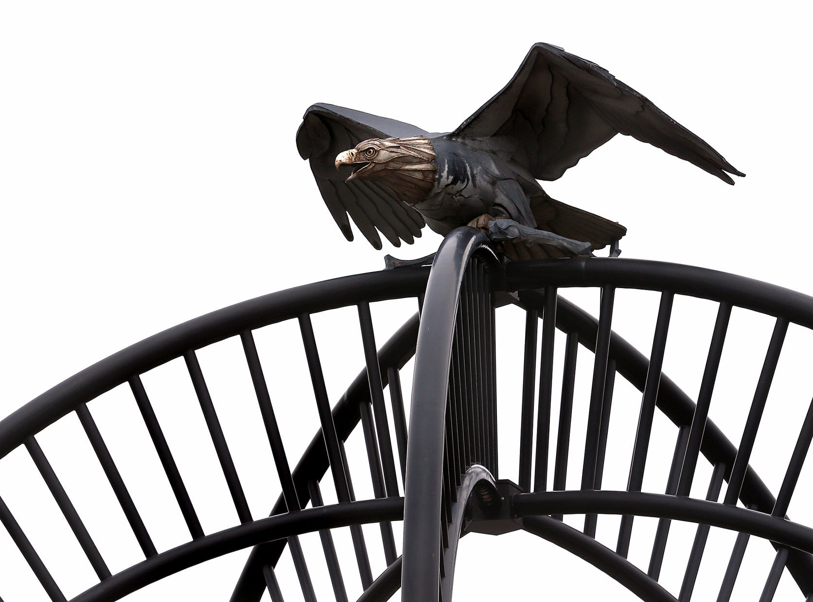 Veterans Memorial Field Eagle